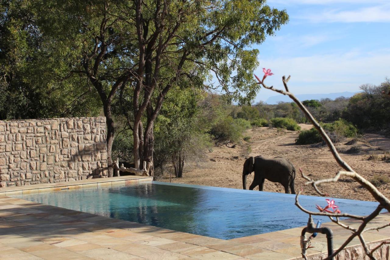 Shumbalala Game Lodge Thornybush Game Reserve Exterior photo